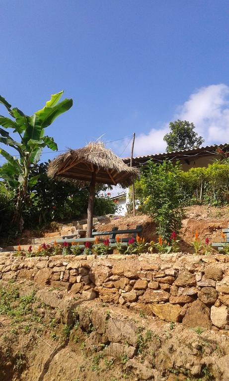 Tunnel Gap Homestay Ella Kültér fotó